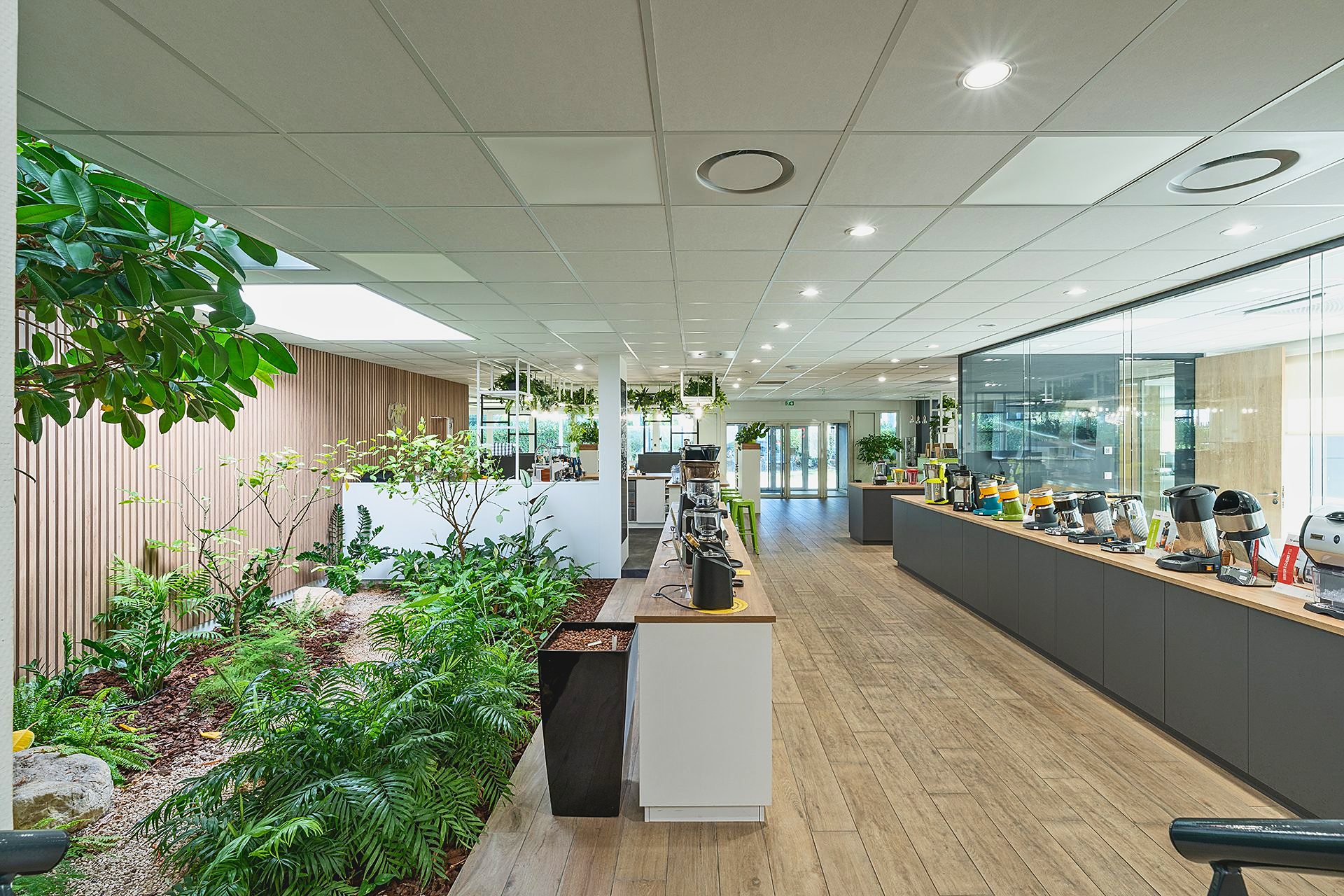 Jardin intérieur végétalisé au cœur des bureaux de Santos, à Vaulx-en-Velin